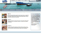 Desktop Screenshot of emregemigida.com