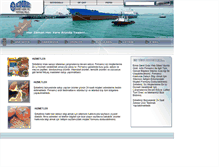 Tablet Screenshot of emregemigida.com